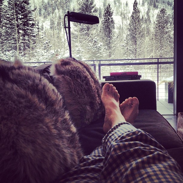 stacey griffith feet 2