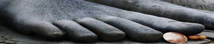 stefani sarconi feet