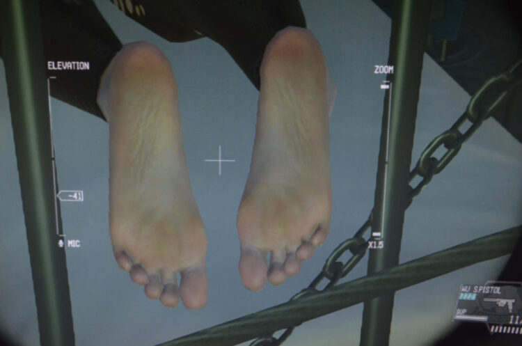 stefanie joosten feet