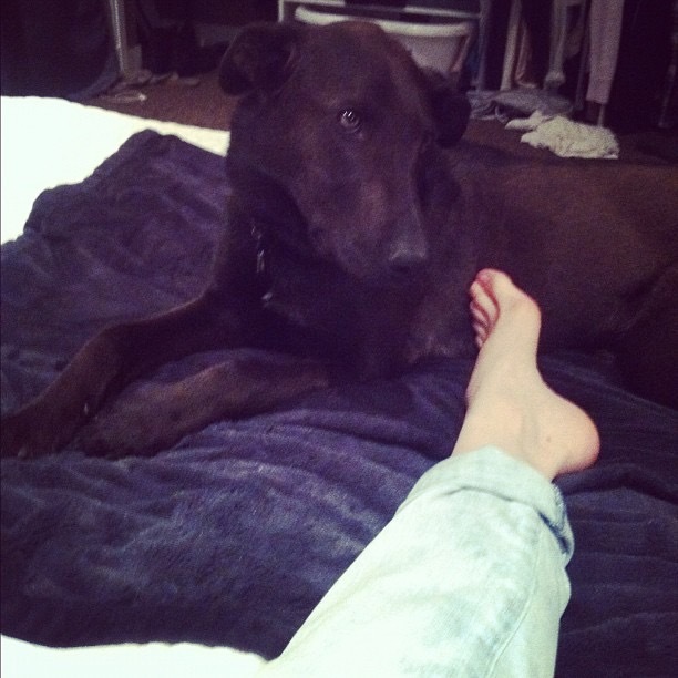 steffany gretzinger feet