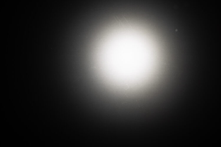 stella the light feet 6