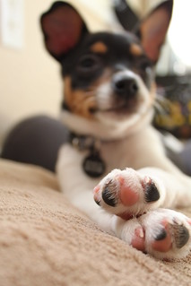 stephanie adams feet 2