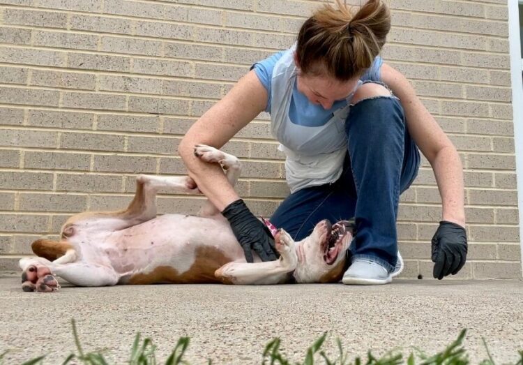 stephanie daily feet 2