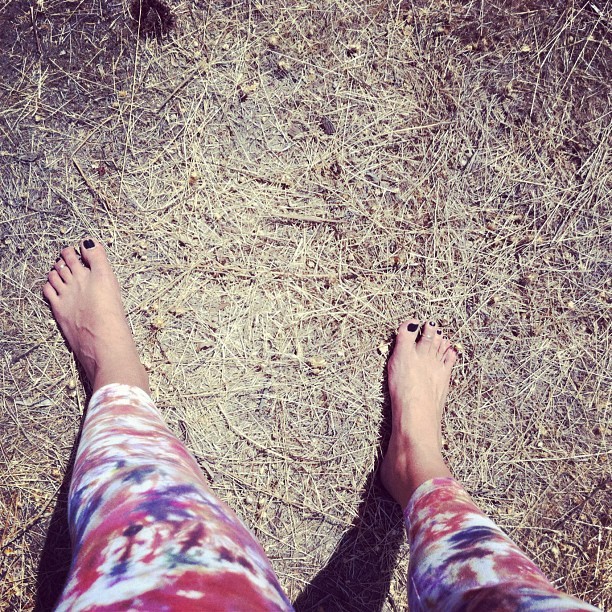 stephanie hodge feet 4