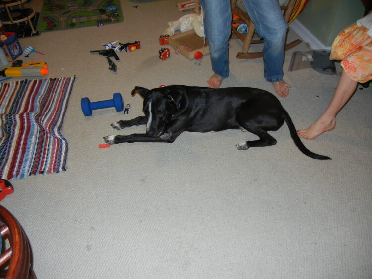 stephanie payne feet 5