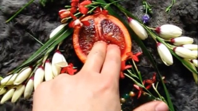 stephanie sarley feet 1