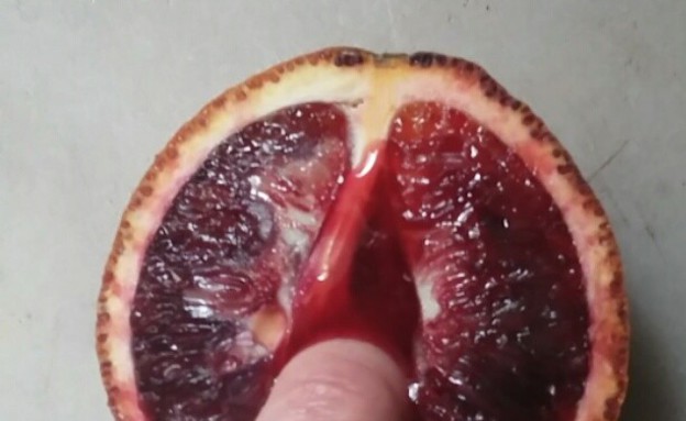 stephanie sarley feet 2