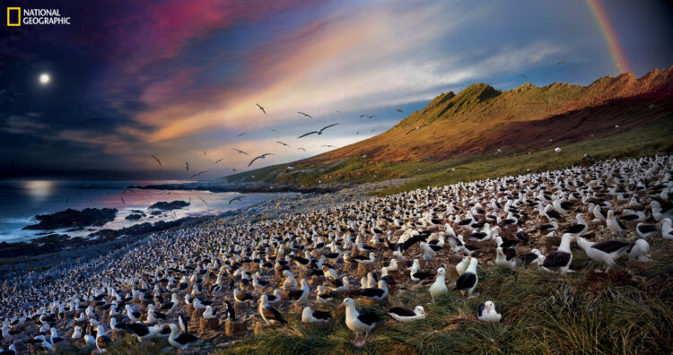 stephen wilkes feet 3