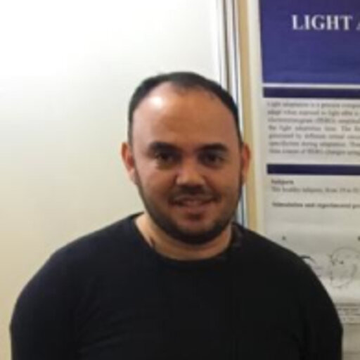 sthephanny caroline da silva feet 1