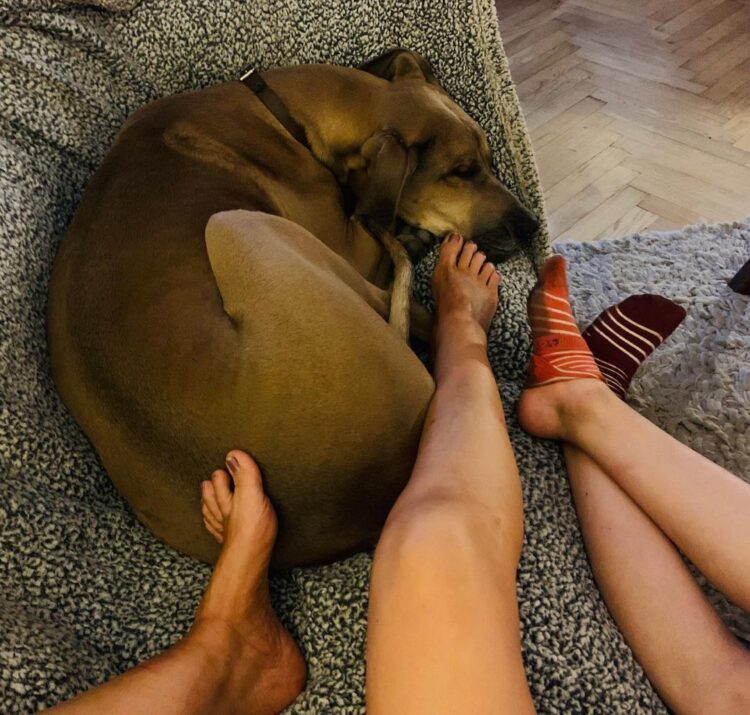 stirling gallacher feet