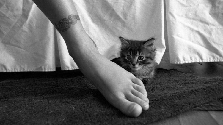 sunrise coigney feet 1 scaled