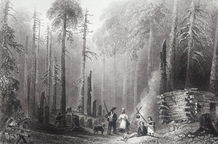 susanna moodie feet 1