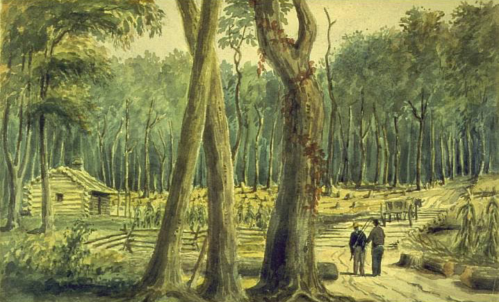 susanna moodie feet 5