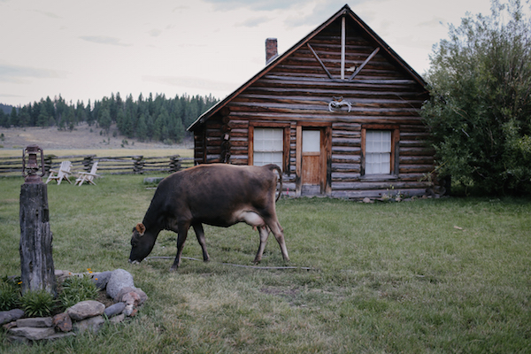 susanna risser feet 3