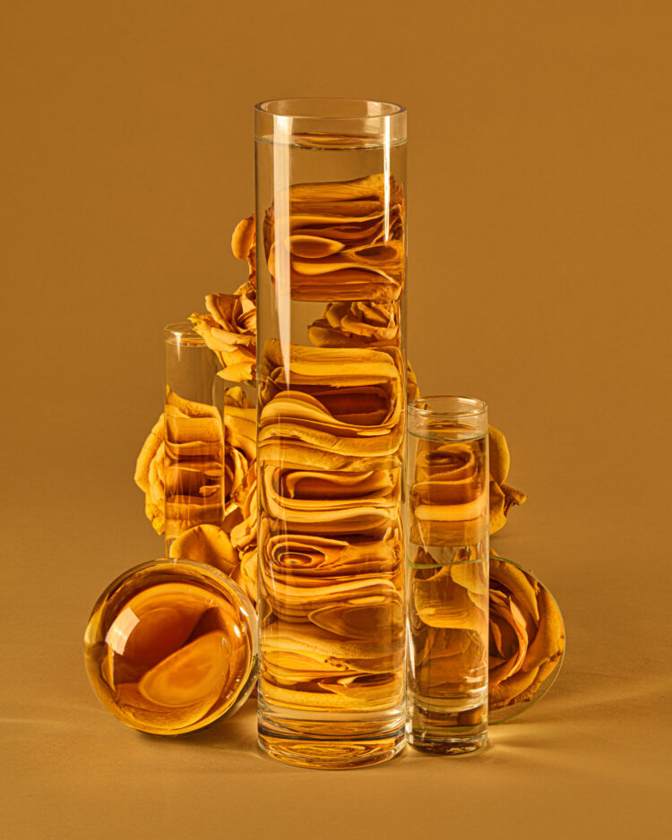 suzanne saroff feet 4