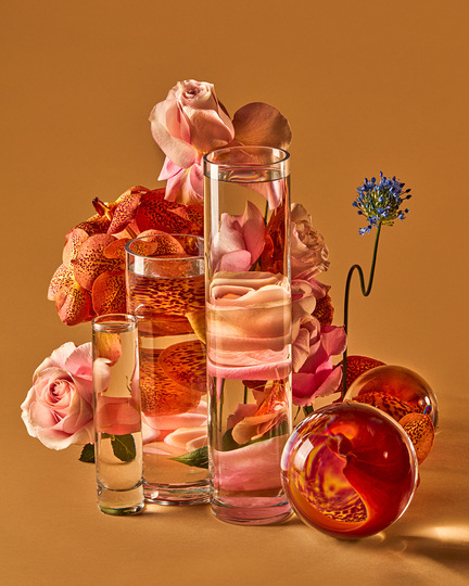 suzanne saroff feet 5