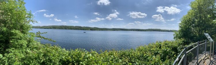 svenja von wrese feet 2