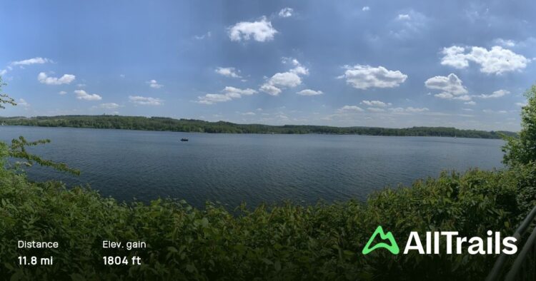 svenja von wrese feet 4