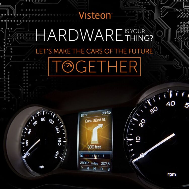 svetlana vasileva feet 1