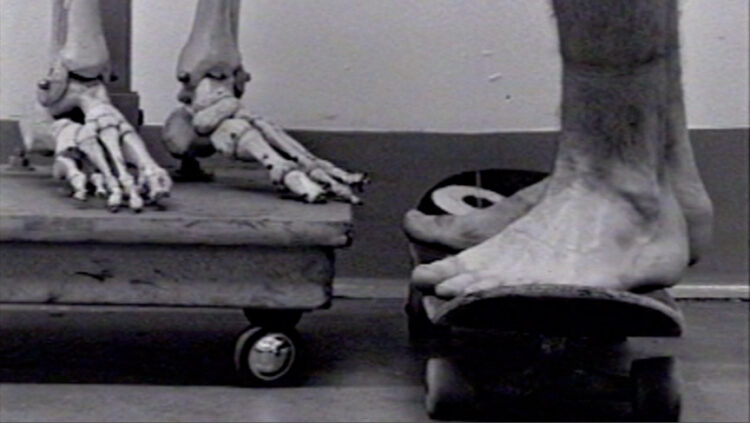 sydney schwartz feet 5