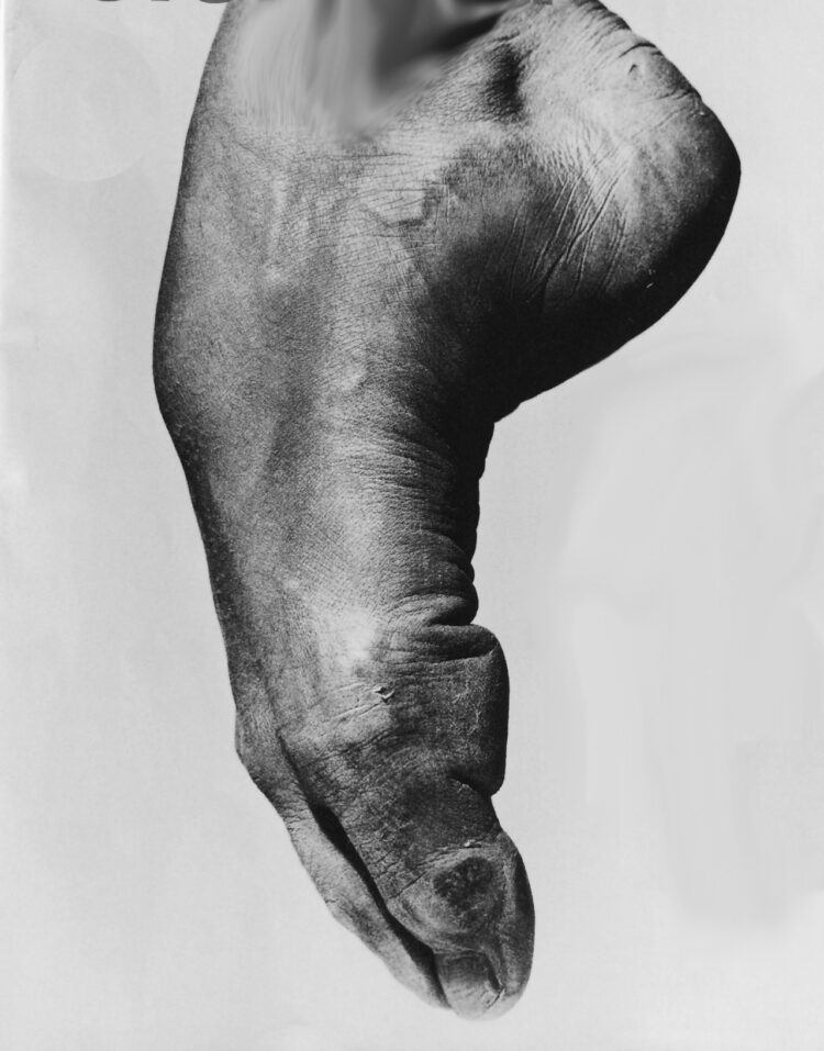 sylvie guillem feet 2