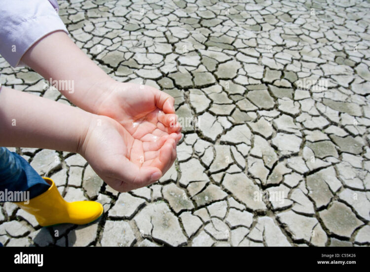 tali contreras feet 5