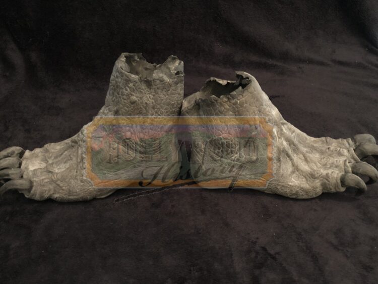 talone feet 5 scaled