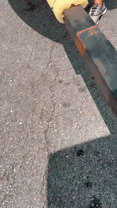 tamara peterson feet 2