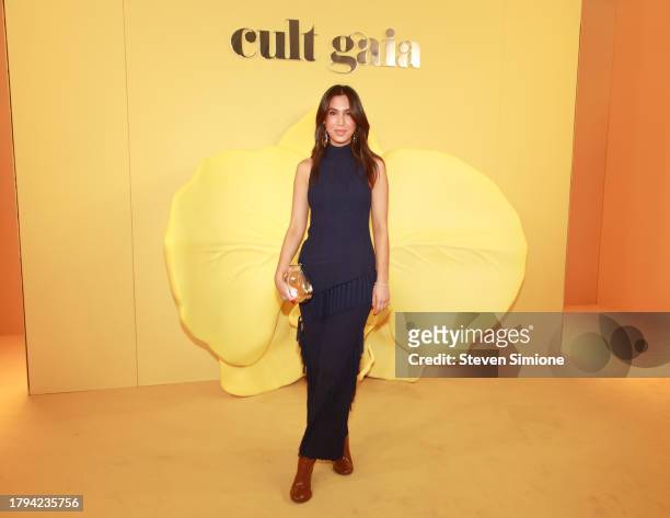 tania sarin araradian feet 6