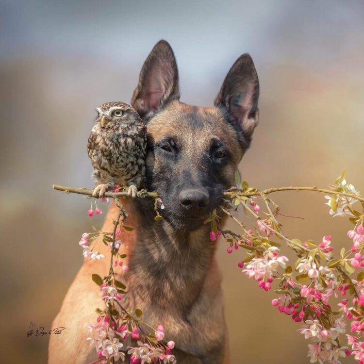 tanja brandt feet 6