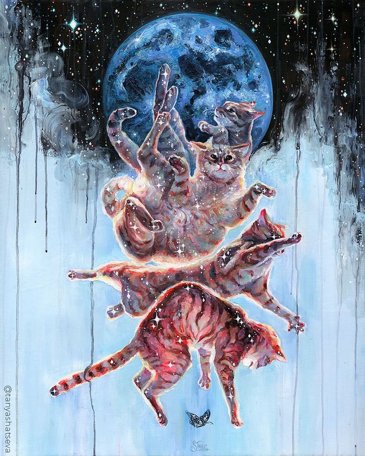 tanya shatseva feet 1