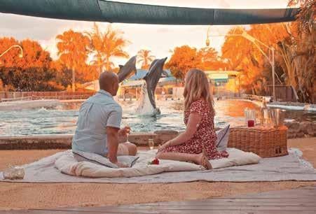 tara brelsford feet 6