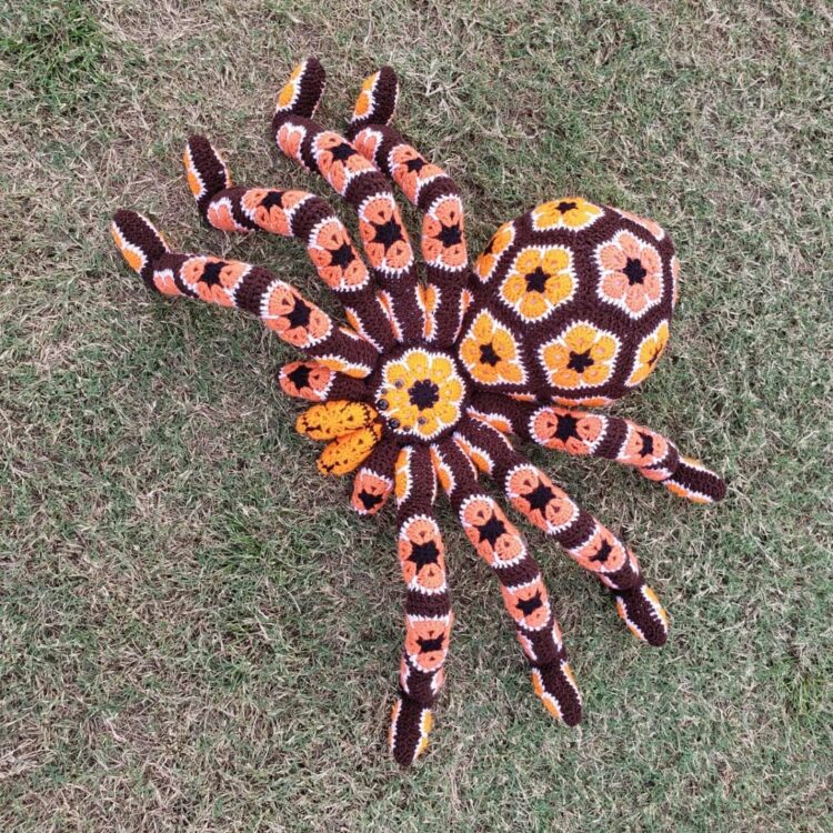 tarantula kat feet 3