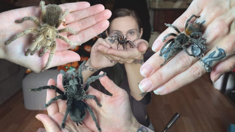 tarantula kat feet 6