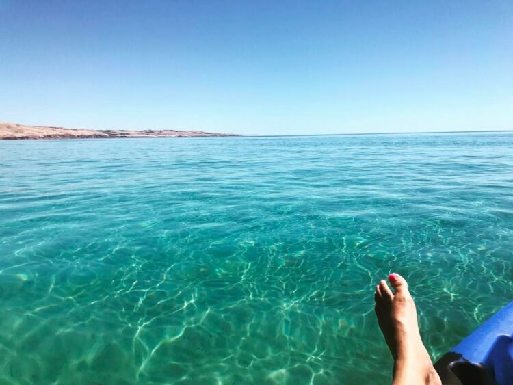 taryn brumfitt feet 5