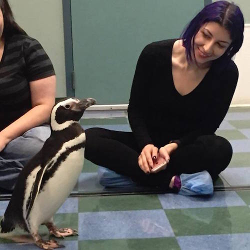 tatev abrahamyan feet 2