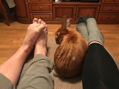 tatiana k. feet 1