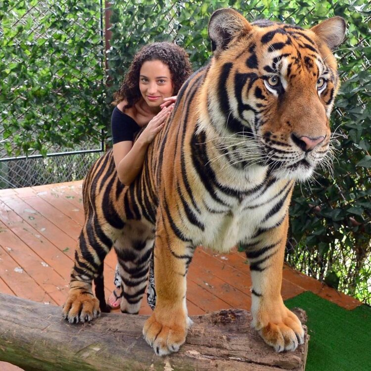 tatum miranda feet 4