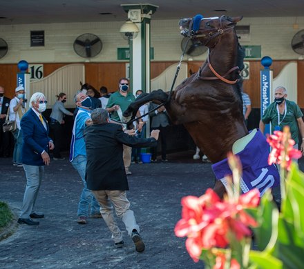 taylor ann albaugh feet 3
