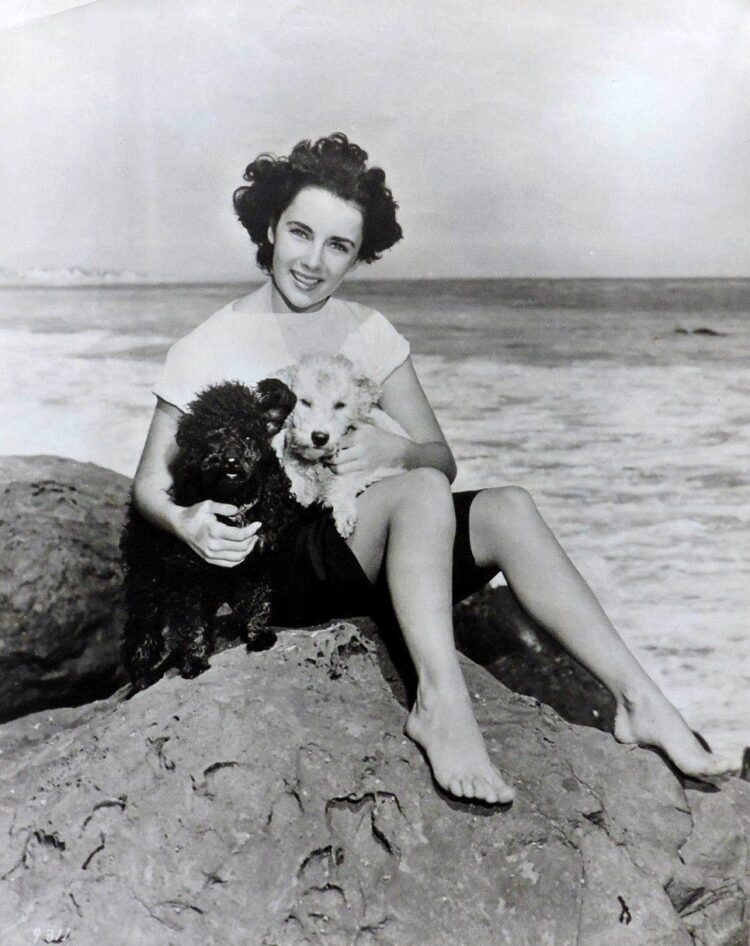 taylor elizabeth feet 3