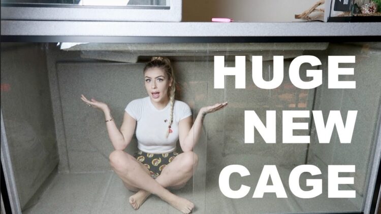 taylor nicole feet 2