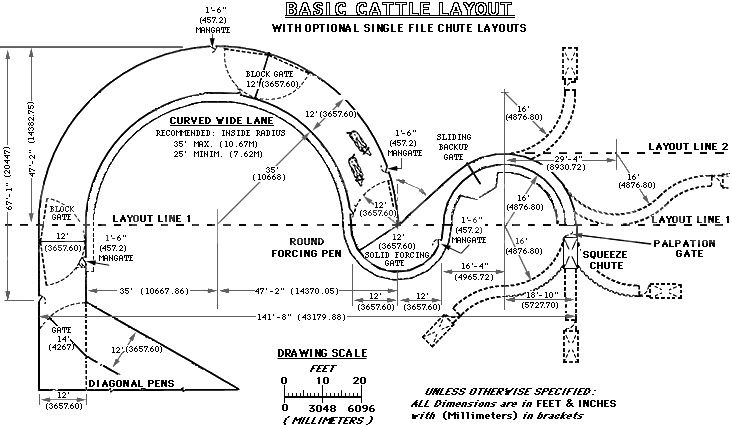 temple grandin feet 1