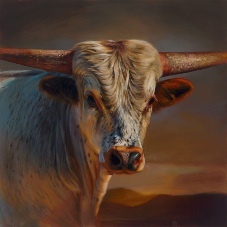 teresa elliott feet 3