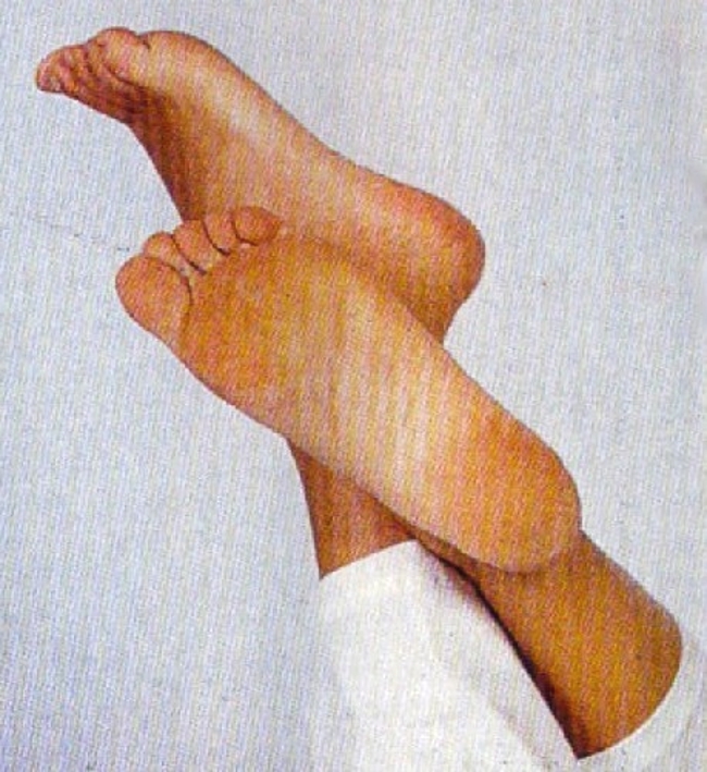 teresa guilherme feet 3