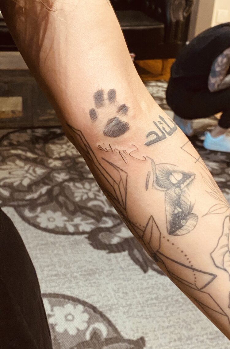 thais ribeiro feet 1