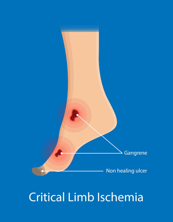 thais stephanie feet 6