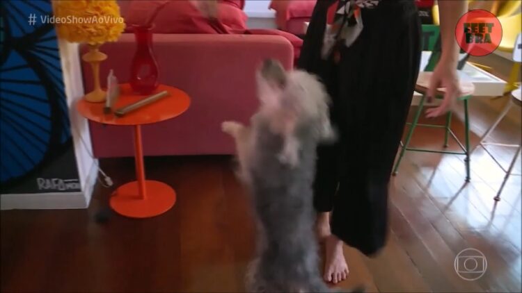 thalita reboucas feet 6