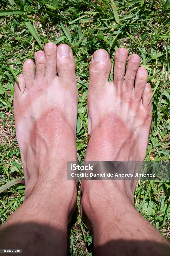 thamires ximenes feet 4