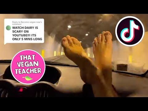 that vegan teacher feet 3