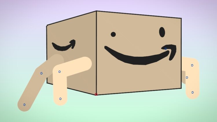 the amazon box feet 6